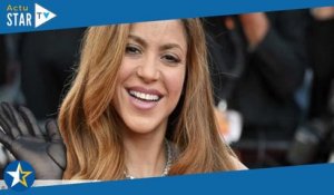 Shakira en couple avec Lewis Hamilton ? Des détails sur leur relation révélés