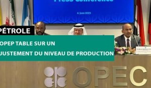 [#Reportage] Pétrole : l'OPEP table sur un ajustement du niveau de production