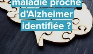 Une maladie proche d'Alzheimer identifiée ?