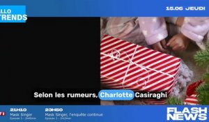 Charlotte Casiraghi refuse l'aide d'Albert de Monaco pour protéger Dimitri Rassam.