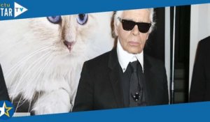 Karl Lagerfeld : ce tendre message de sa petite Choupette fait fondre les internautes