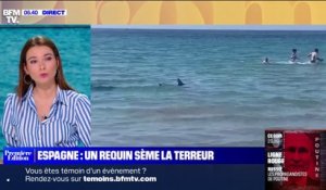 Un requin sème la terreur à quelques mètres des baigneurs à Alicante en Espagne