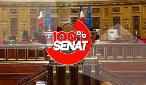 100% Sénat - Espace numérique : les régulateurs auditionnés