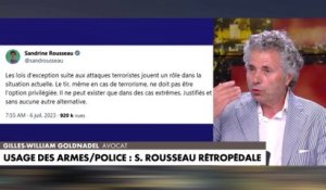 Gilles-William Goldnadel : «Sandrine Rousseau se croit tout permis»