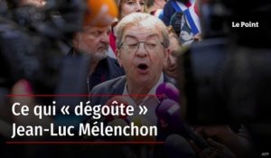 Ce qui « dégoûte » Jean-Luc Mélenchon