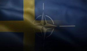 La Turquie débloque l'adhésion de la Suède à l'OTAN