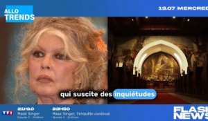 Brigitte Bardot : que s'est-il réellement passé chez l'actrice de 88 ans ?