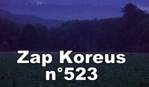 Zap Koreus n°523