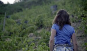 Wine Calling : le vin se lève ! (2018) - Bande annonce
