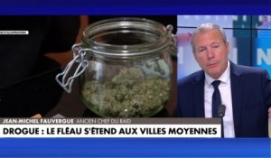 Jean-Michel Fauvergue : «Le trafic de cannabis ne demande aucune organisation»