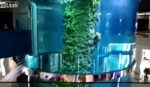 Un aquarium géant de 24m de haut a une énorme fuite dans un supermarché