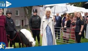 La reine Camilla sous la pluie, son après midi avec d'adorables poneys avant ses vacances