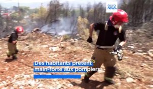 Algérie, Grèce, Italie, France : de nombreux incendies ravagent le pourtour méditerranéen