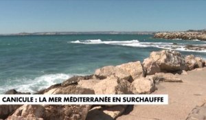 Canicule : la mer Méditerranée en surchauffe