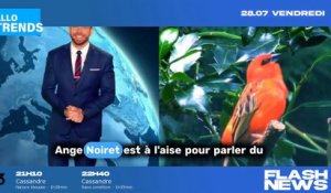 Ange Noiret : le charmant présentateur météo de TF1, un cœur à prendre ?