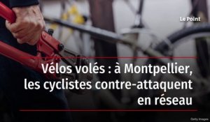Vélos volés : à Montpellier, les cyclistes contre-attaquent en réseau