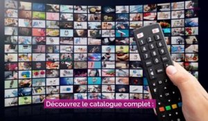 Les séries du mois d'août à regarder sur les plateformes de streaming