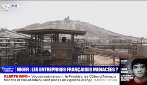 Crise au Niger: les entreprises françaises sont-elles menacées?