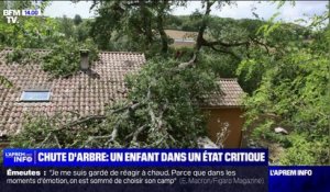 Vents violents en Charente-Maritime: un enfant de 10 ans dans un état critique, après qu'un arbre lui soit tombé sur la tête