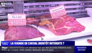 Nicolas Dupont-Aignan veut mettre fin à la consommation de viande de cheval