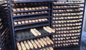 Tchad : en immersion dans une boulangerie pour la production du pain