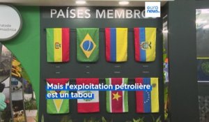 Huit pays sud-américains travaillent sur une stratégie commune pour sauver l'Amazonie