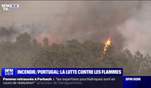 Portugal: 900 pompiers luttent contre un incendie qui fait rage depuis quatre jours à Odemira, dans le sud-ouest du pays