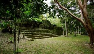 Guatemala : Quatre touristes français parmi lesquels un enfant de six ans, sont portés disparus dans le parc de Tikal, principal site archéologique maya