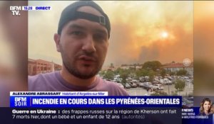 Pyrénées-Orientales: 150 pompiers mobilisés pour lutter contre un incendie à Saint-André