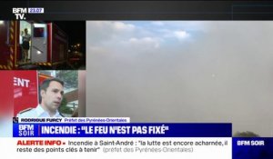 Incendie: "Quatre colonnes de renforts sont mobilisées ou en cours de mobilisation [...] pour venir soutenir les sapeurs-pompiers des Pyrénées-Orientales", affirme le préfet Rodrigue Furcy