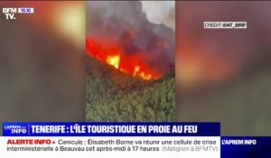 L'incendie à Tenerife en Espagne a ravagé plus de 1800 hectares de forêt
