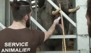 Eure-et-Loir - La tanière au secours des animaux