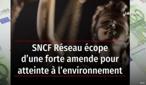 SNCF Réseau écope d’une forte amende pour atteinte à l’environnement