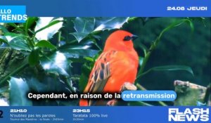 Laurence Boccolini quitte "Tout le monde veut prendre sa place" pour animer une célèbre émission sur France 2 !