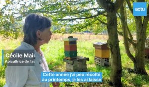La récolte du miel touche à sa fin à Putanges-le-Lac
