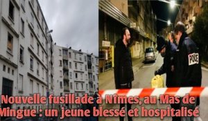 Nouvelle fusillade à Nîmes, au Mas de Mingue : un jeune blessé et hospitalisé.