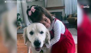 Un chien prouve au monde entier qu'il est le meilleur babysitter pour sa petite sœur (vidéo)