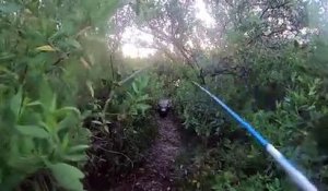 Ce pecheur se fait chasser par un alligator : moment terrifiant