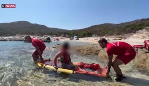Secours en mer : un jour avec les SDIS de Corse