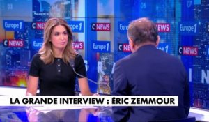 Éric Zemmour : «Je n'ai pas vocation à aller à toutes les élections»