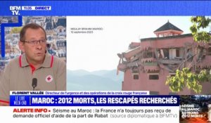 Séisme au Maroc: "8000 bénévoles sont mobilisés" par le Croissant-Rouge marocain, membre de la Fédération internationale des Sociétés de la de la Croix-Rouge