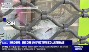 Ce que l'on sait de la fusillade cité Saint-Thys à Marseille qui a gravement blessé une jeune femme