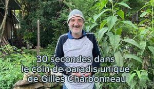 Gilles Charbonneau - Un boisé boul. Quinn