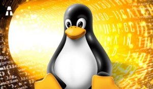 L'Étrange Histoire de Linux et de ses Milliers de Distributions
