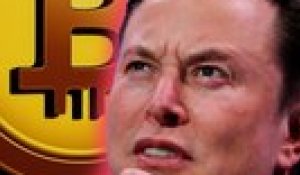 Elon vs. Burry : Qui est le plus fou? L'investissement choc de Musk dans le Bitcoin dévoilé!