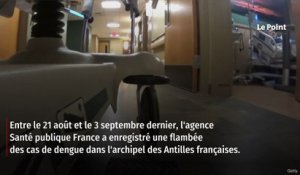 Comment le virus de la dengue arrive en France