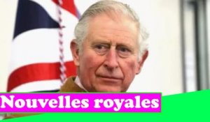 Fiers d'avoir une monarchie" Des Britanniques furieux font rage contre les panneaux d'affichage anti