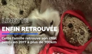 Cette famille azuréenne a retrouvé son chat perdu en 2017 à plus de 700km du lieu de sa disparition