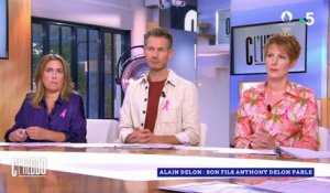 Anthony Delon affirme sur France 5 que plus de 100.000 euros ont été saisis chez "la compagne" d'Alain Delon lors d'une perquisition