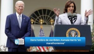Dans l’ombre de Joe Biden, Kamala Harris "en marathonienne"